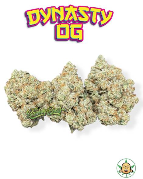 Dynasty OG