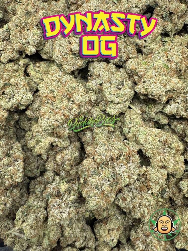 Dynasty OG