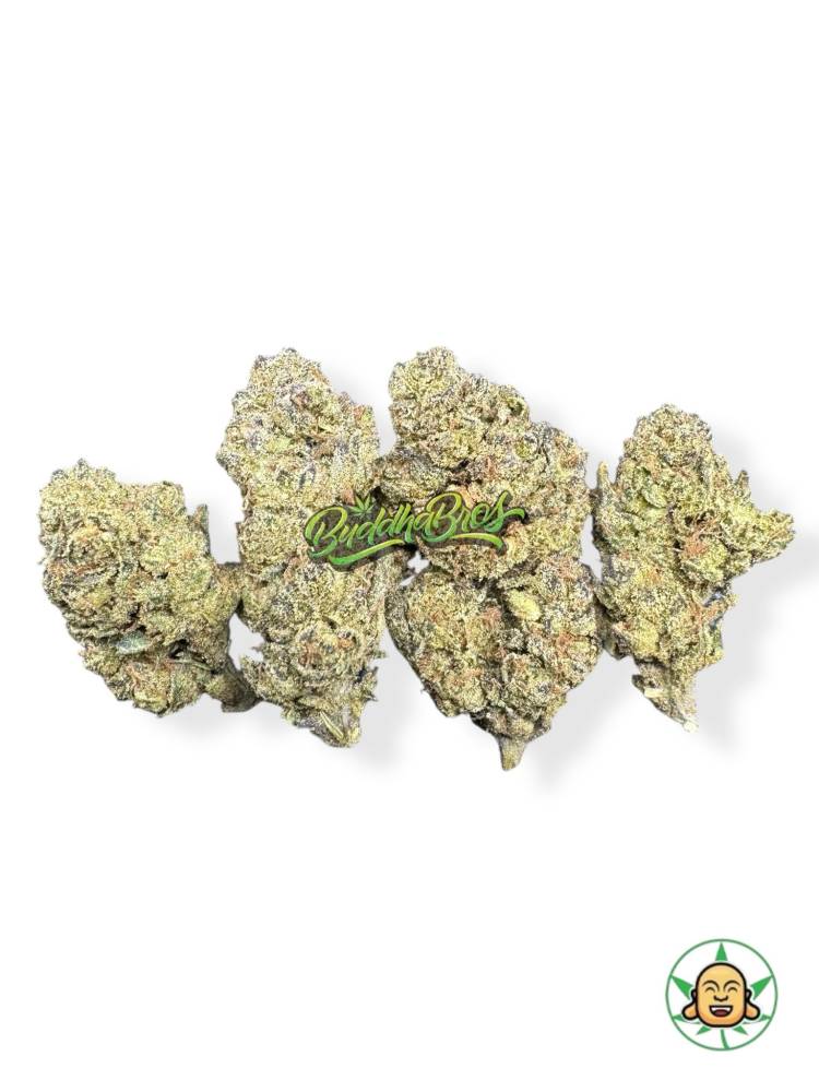 Candy Gelato