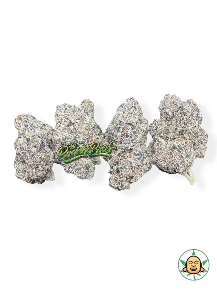 War Candy