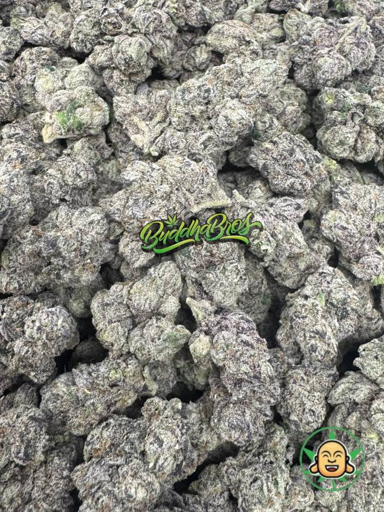 War Candy