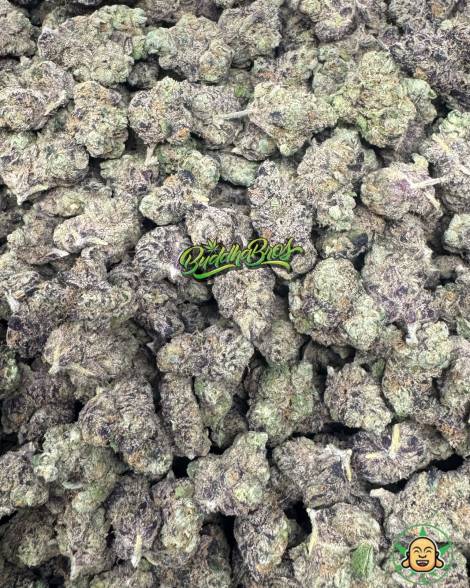 Purple Churro Mediums