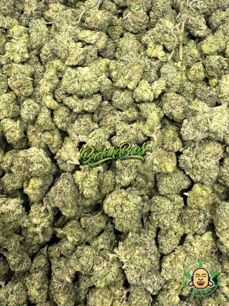 Warheads Smalls