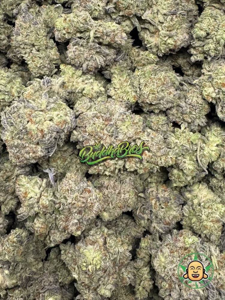 Guava Gas