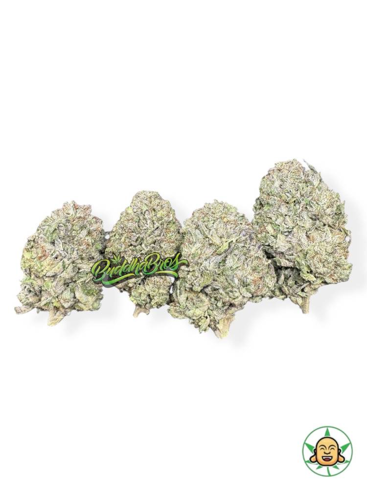 Candy Pop