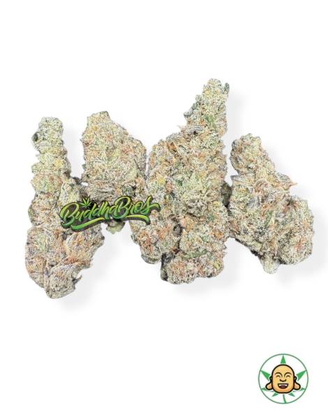 Silver Haze