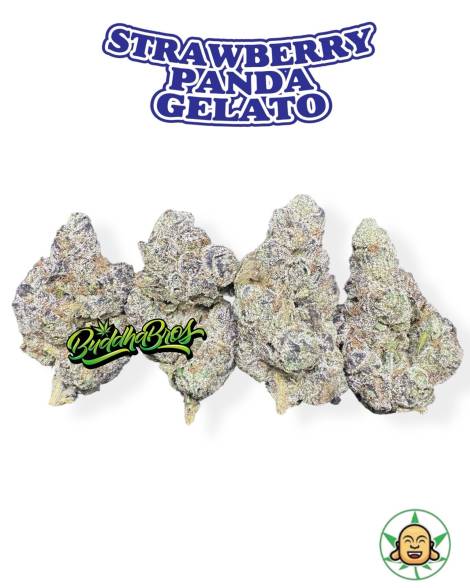 Strawberry Panda Gelato
