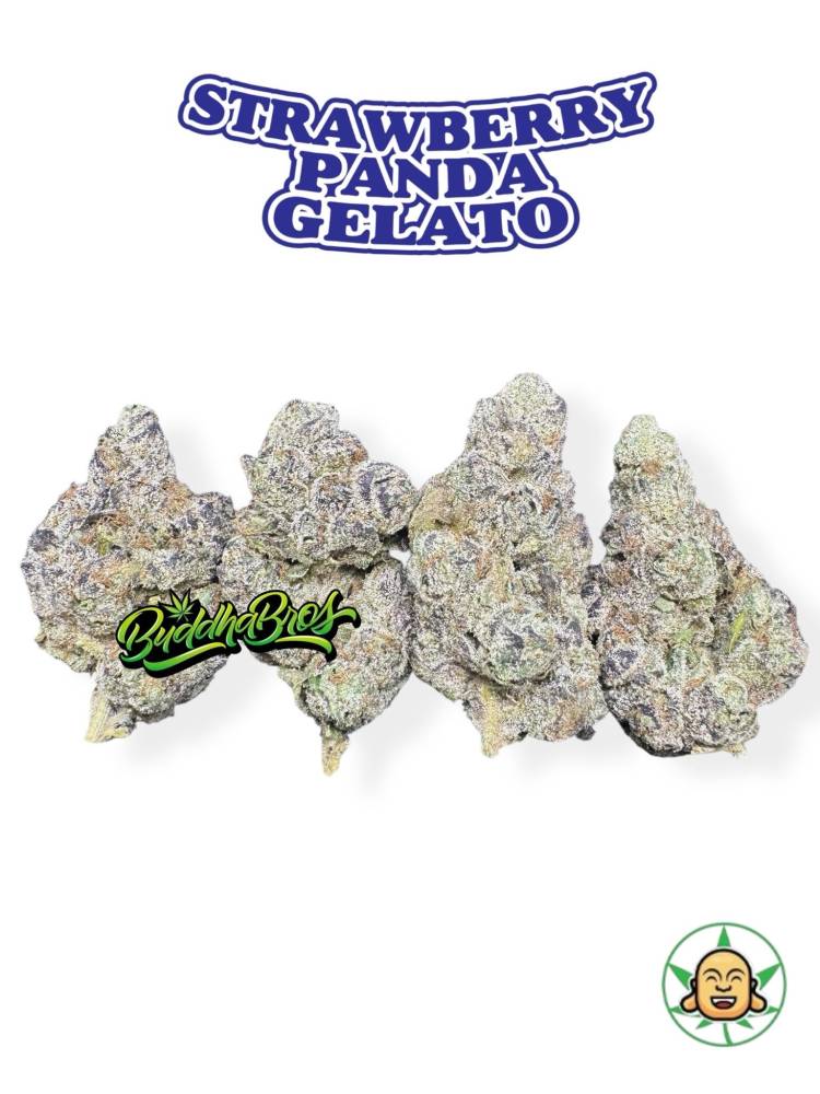 Strawberry Panda Gelato