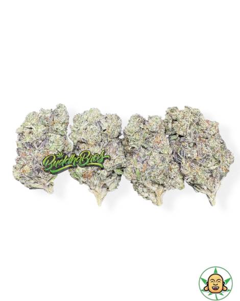 King Sherbert