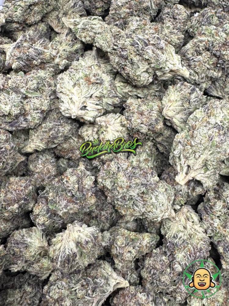 King Sherbert