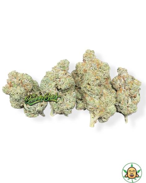 Black Triangle OG