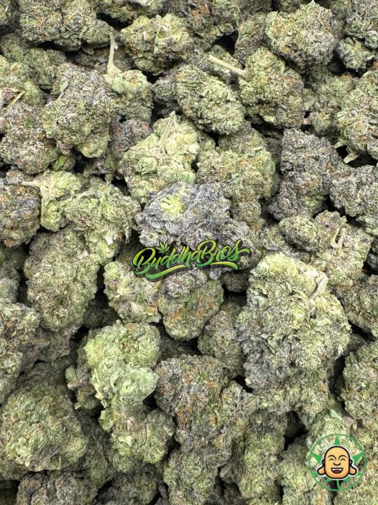 Banana Sherbet