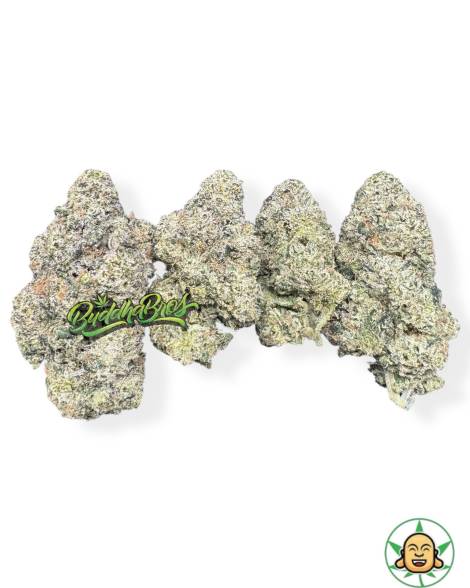 Gelato Runtz