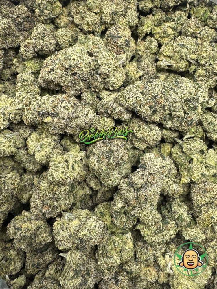 Gelato Runtz