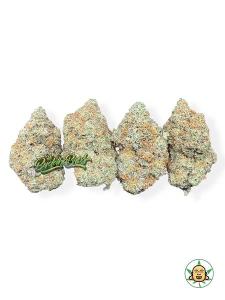 Godfather OG