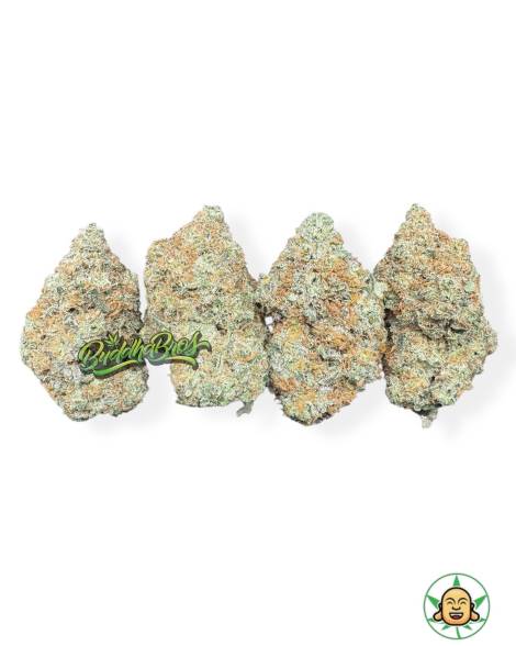 Godfather OG