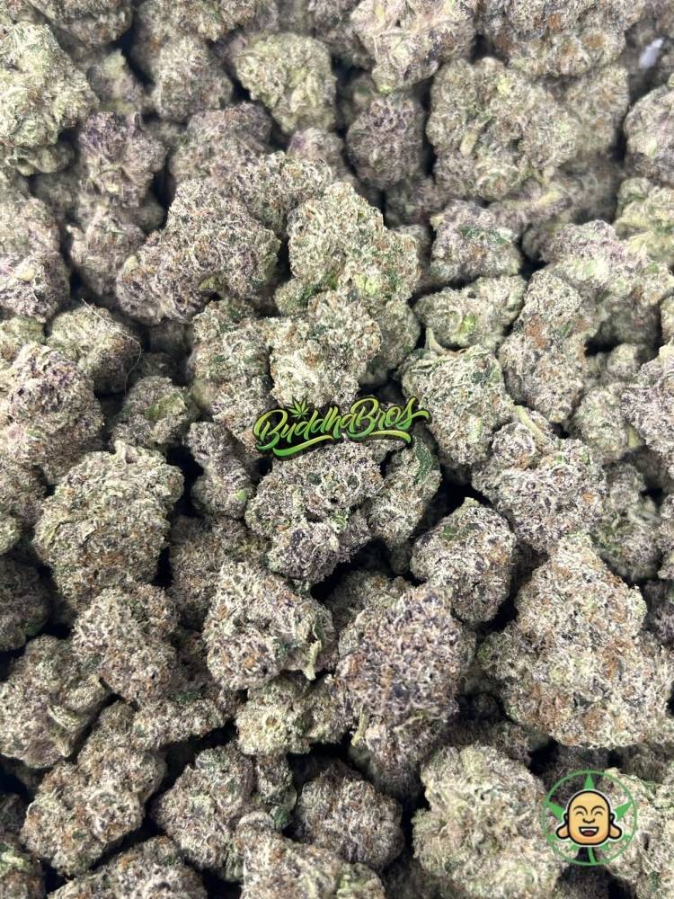 London Fog