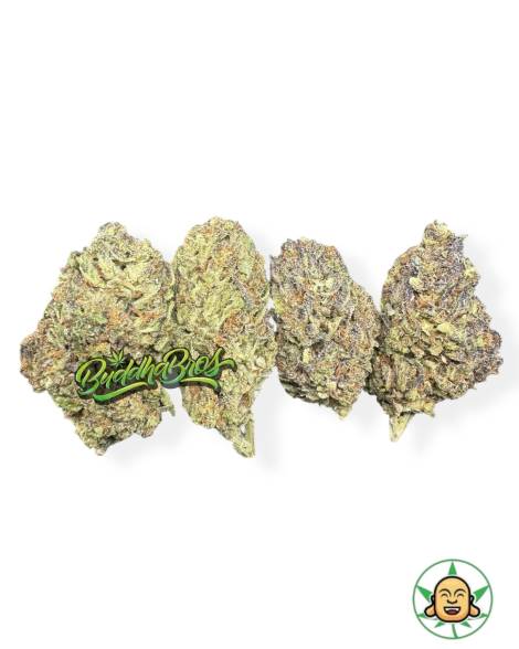 Grape God