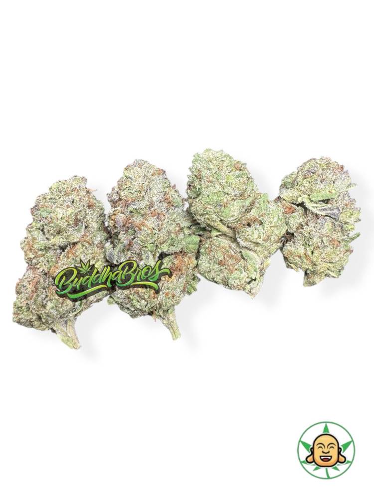 Candy Sherbet