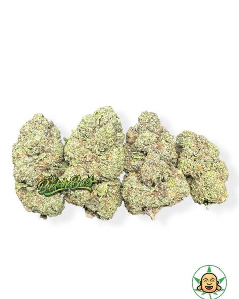 Jet Fuel Gelato