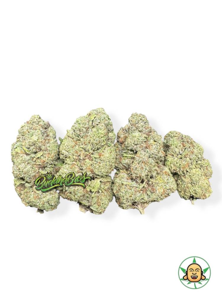 Jet Fuel Gelato