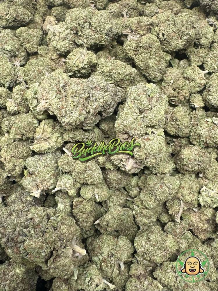 Jet Fuel Gelato