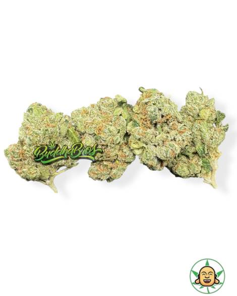Hawaiian OG