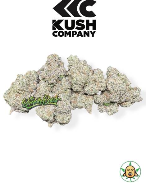 Turbo Sherb OG By KushCo