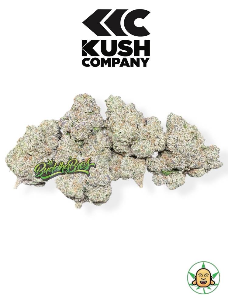 Turbo Sherb OG By KushCo