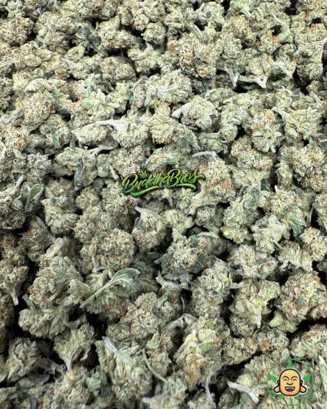 Alien OG Smalls