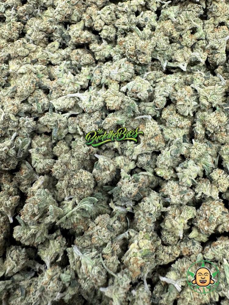 Alien OG Smalls