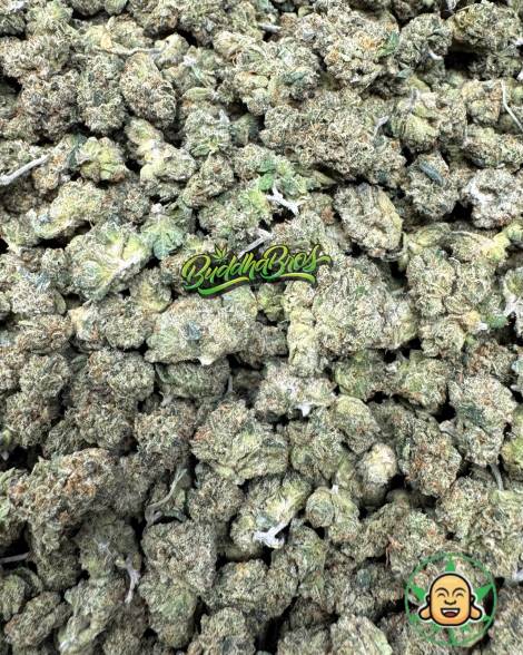 Skywalker OG Smalls