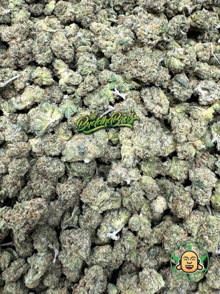 Skywalker OG Smalls