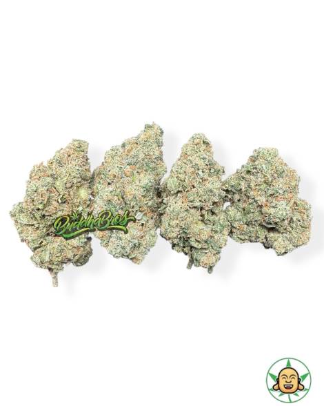 Jack Herer