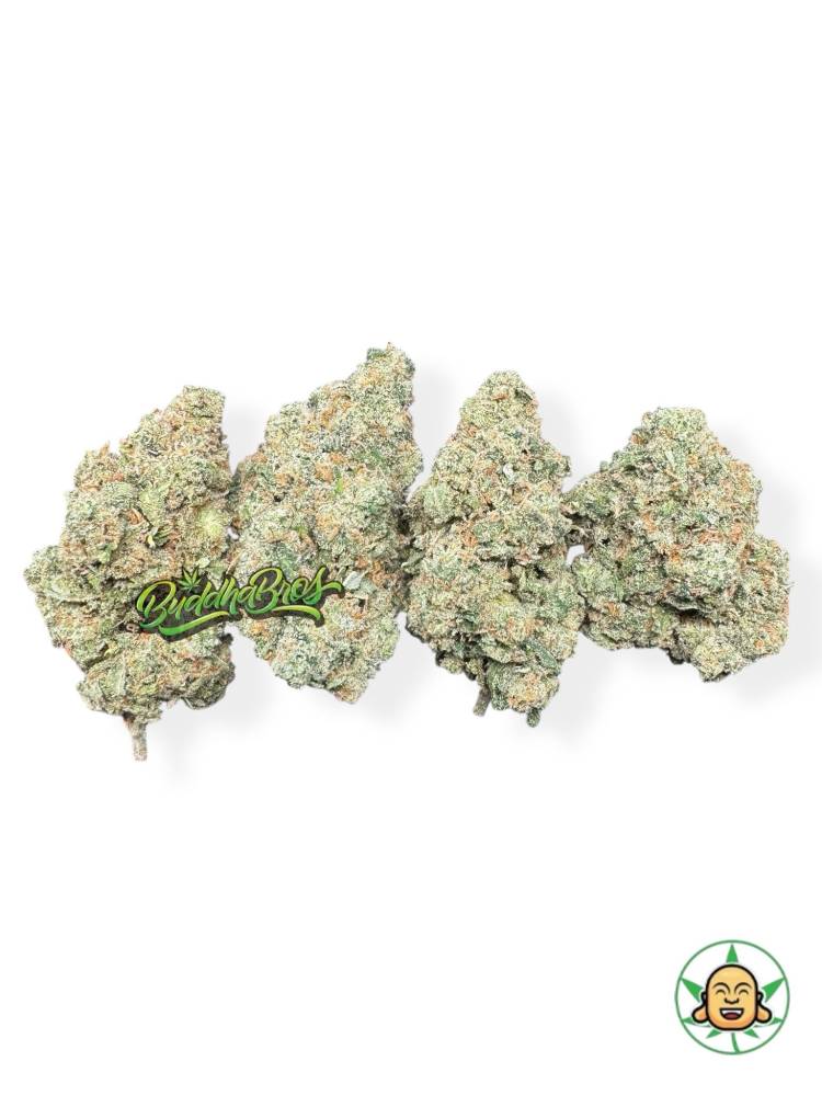 Jack Herer