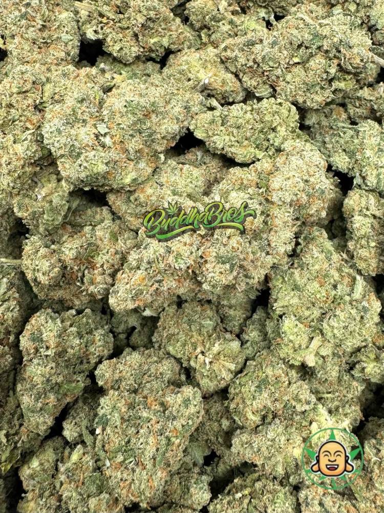Jack Herer