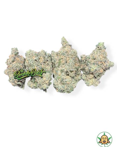 Blue Dream