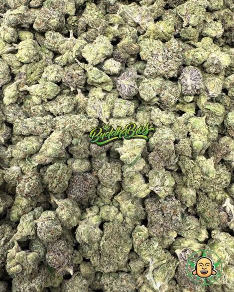 Bubblegum Runtz Smalls