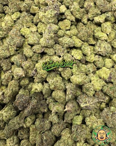 Grape Gelato Smalls