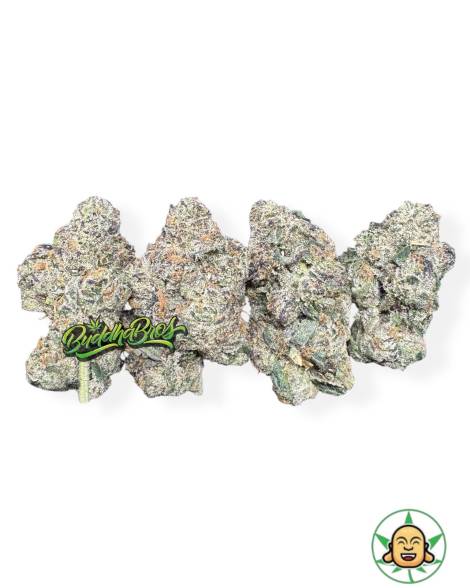 White Gummy