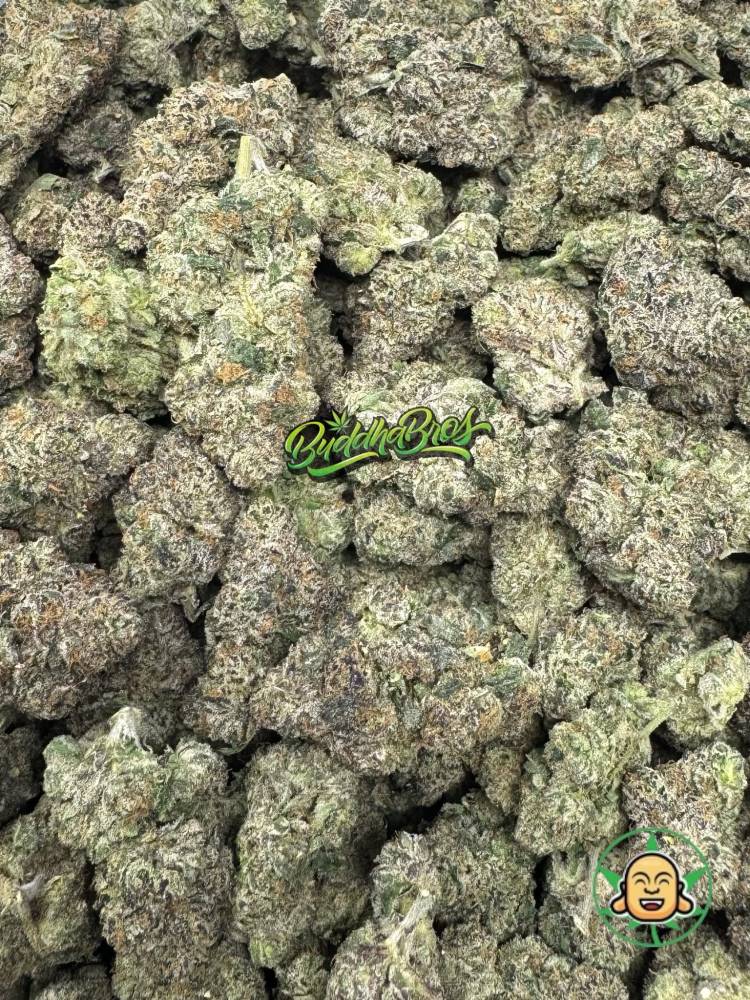 White Gummy