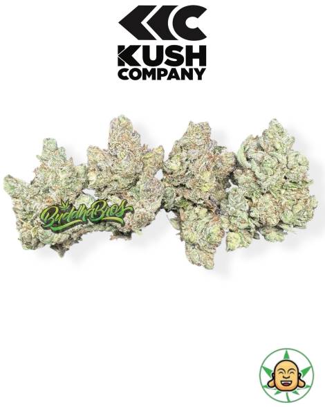 Double Down OG By KushCo