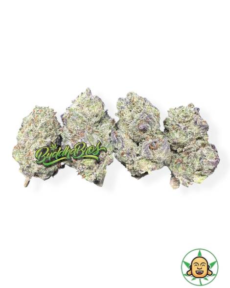 Purple Skunk