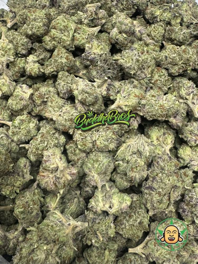 Purple Skunk