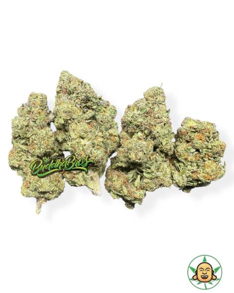 Sour OG