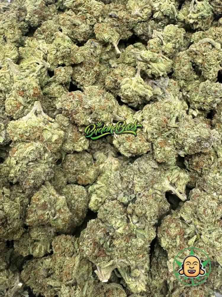 Sour OG