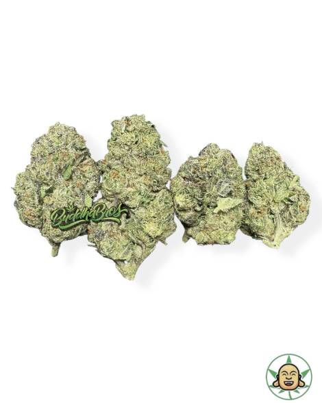 Lemon OG