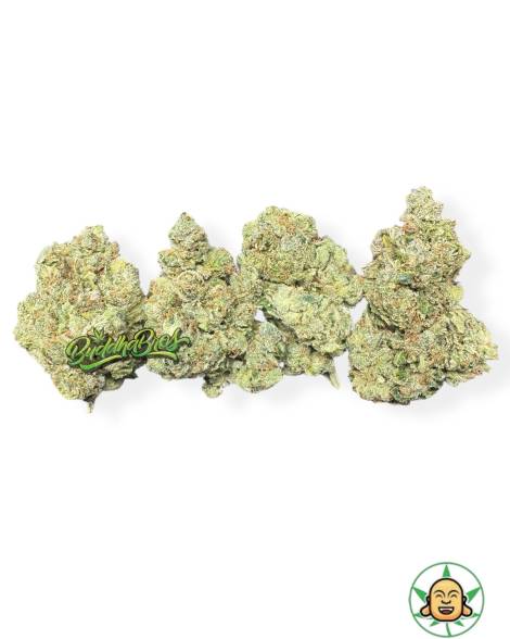 Cheese Diesel