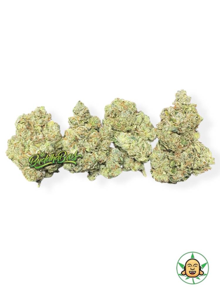 Cheese Diesel