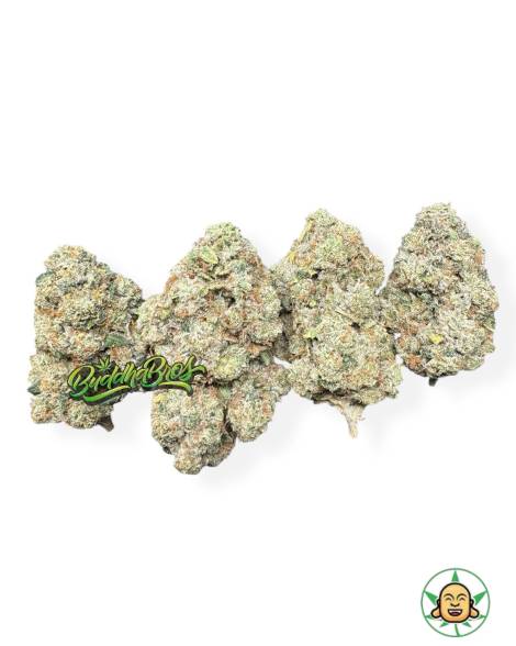 SFV OG